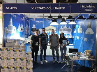 Vikstars Co., Limited 製造者の生産ライン