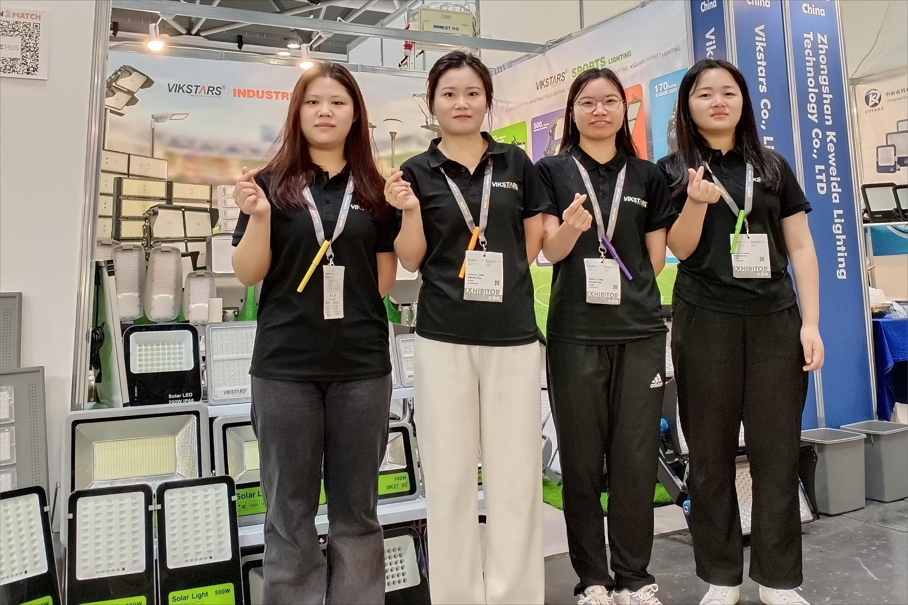 中国 Vikstars Co., Limited 企業紹介